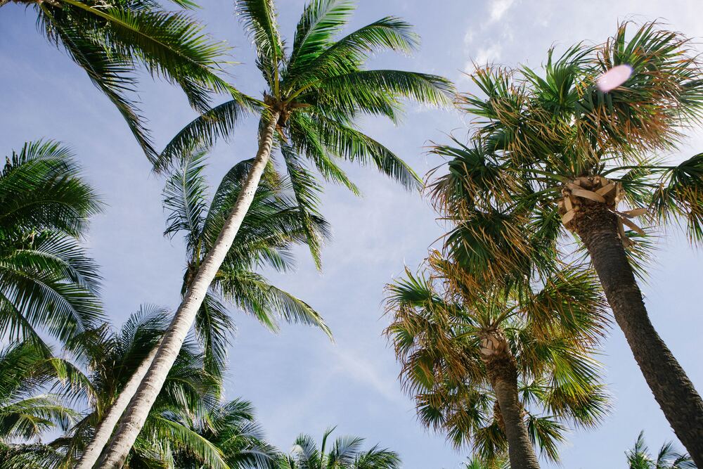 Fort Lauderdale, Florida